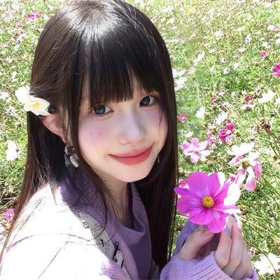 摇滚藏獒:乘风破浪
